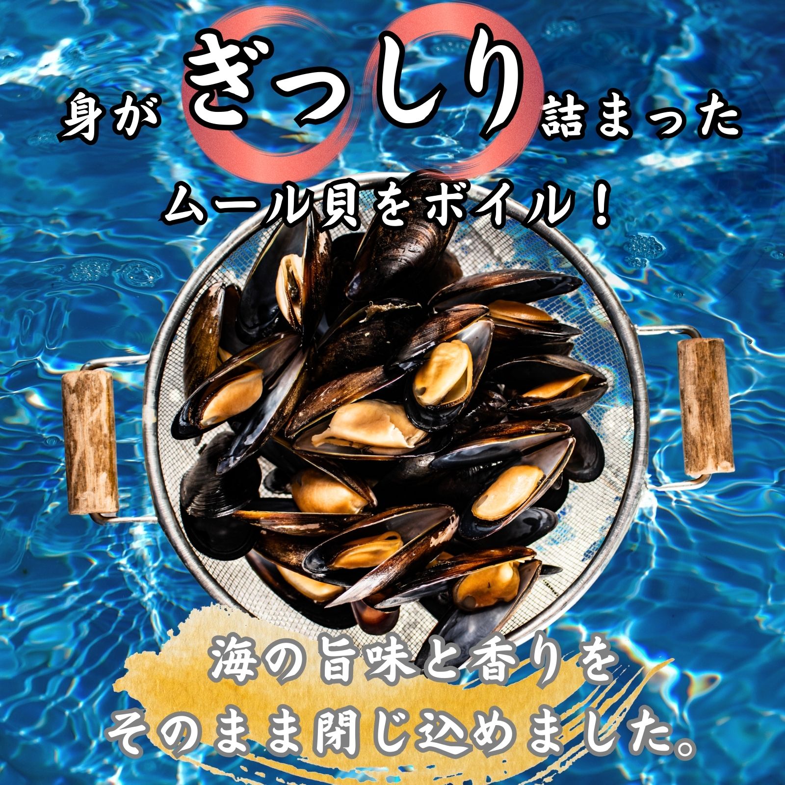 ムール貝 冷凍 殻付き 業務用 1kg（500g×2袋）ボイル済み 1袋25〜35個入り パエリ...