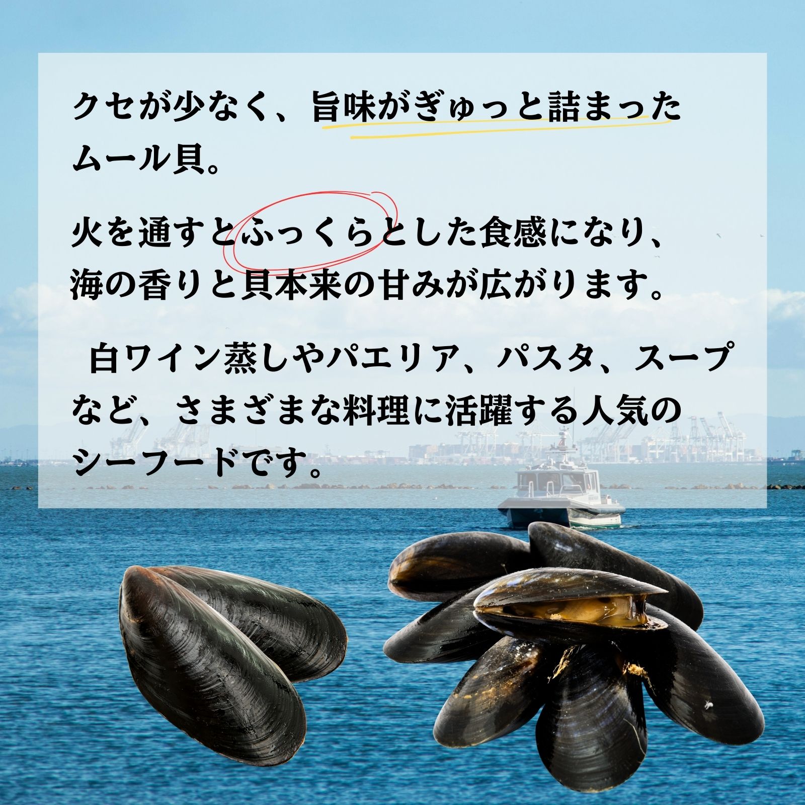 ムール貝 冷凍 殻付き 業務用 1kg（500g×2袋）ボイル済み 1袋25〜35個入り パエリ...