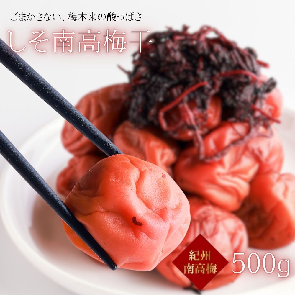 竹内農園 紀州南高梅 特別栽培 大粒 しそ梅干 お徳用 500g 紀州産 梅干し うめぼし ウメボシ 無添加 家庭用 大容量 紀州産 国産 ご飯のお供 お茶漬け おにぎり 紫蘇梅干し しそ 紫蘇 送料無料