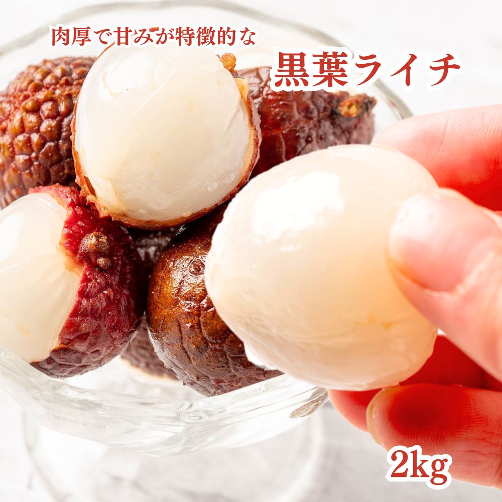 冷凍フルーツ ライチ 2kg (500g×4袋) 黒葉 南国フルーツ 砂糖不使用 添加物不使用 業務用 冷凍 スムージー かき氷 トロピカルフルーツ 冷凍ライチ 送料無料