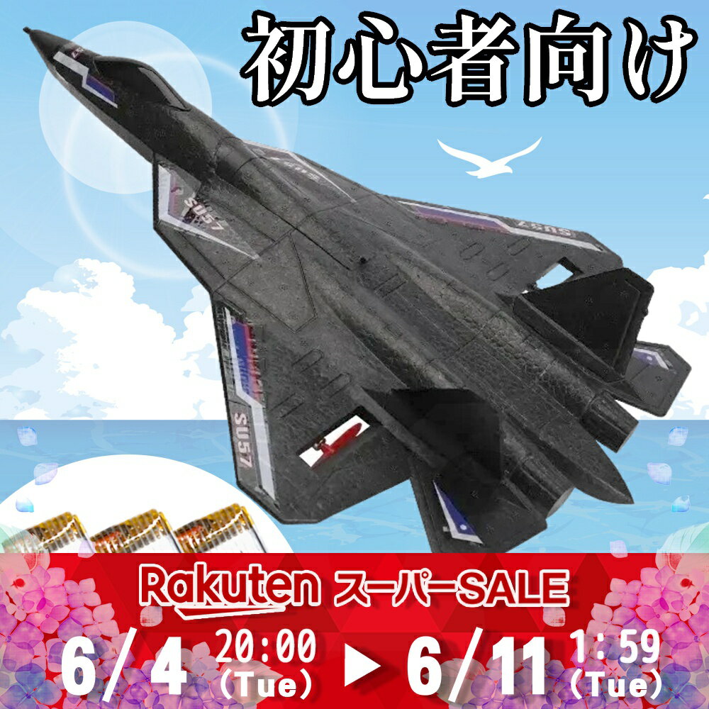 【セール特価】入門用 戦闘機 ラジ