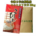 送料無料 令和2年 山形県産 コシヒカリ 玄米 30kg 米 精米無料