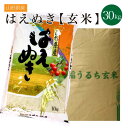 送料無料 令和5年 山形県産 はえぬき 玄米 30kg 米