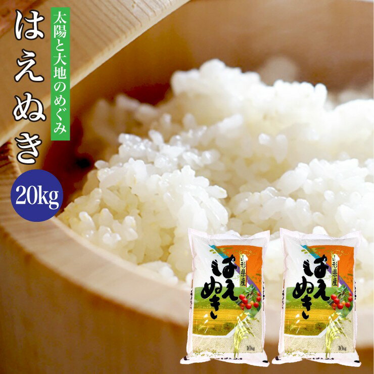 新米 令和6年産 送料無料 山形県産 はえぬき 20kg 米 10kg×2袋 白米のサムネイル