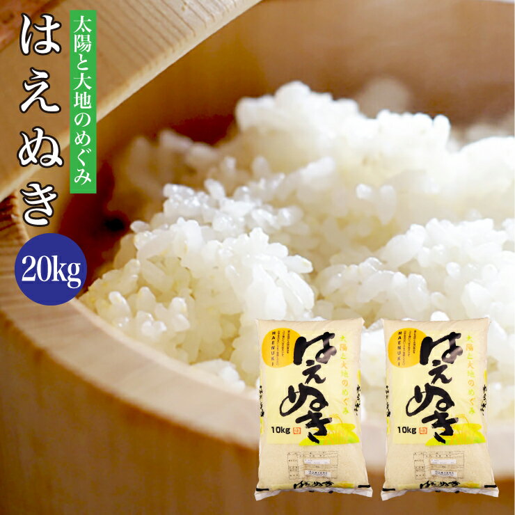 新米 送料無料 令和元年産 山形県産 はえぬき 20kg 米 10kg×2袋...