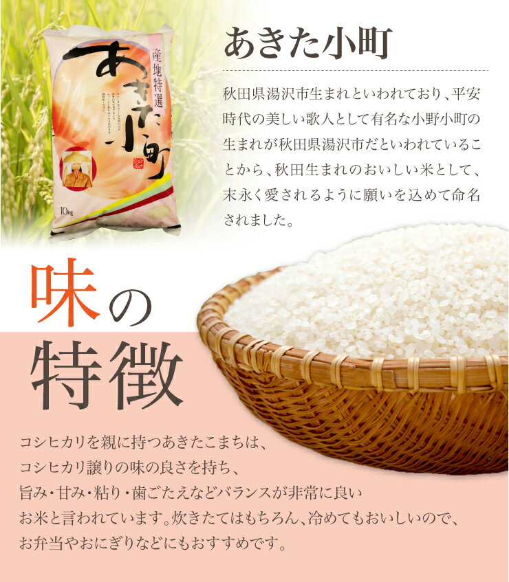 送料無料 無洗米 令和3年産 秋田県産 あきたこまち 20kg 10kg×2袋