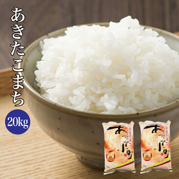 送料無料 無洗米 令和3年産 秋田県産 あきたこまち 20kg 10kg×2袋