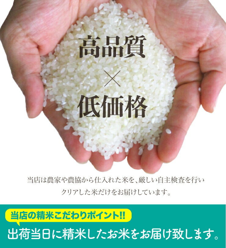 送料無料 ブレンド米 10kg 国内産複数原料米 白米 3