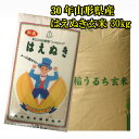 30年山形県産はえぬき玄米30kg...