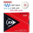 【最強翌日配送】 ソフトテニスボール ダンロップ 公認球 DSTB2DOZ 軟式テニスボール ホワイト 天然ゴム 1ダース箱 ネーム入れ対象外