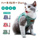 ペット用 犬 猫 ハーネス リード セット中小型犬 軽量 首輪 胸あて式 猫の服 胸背ハーネス付き 牽引ロープ 可愛い唐草模様 花柄 動物 ペットグッズ 散歩グ...