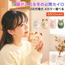 電気カイロ 充電式 2in1電気カイロ USB充電式カイロ ハンドウォーマー 6500mAH 2段階温度調節 両面発熱 5秒発熱 省エネ 寒さ対策 冬物 贈り物...