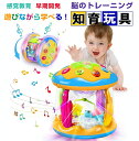 モンテッソーリ おもちゃ ドラム ハイハイ おもちゃ 赤ちゃん 楽器 知育おもちゃ 早期開発 指先訓練 音の出るおもちゃ 音楽おもちゃ 8色ライト 6つ海洋生物...