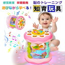 モンテッソーリ おもちゃ ドラム ハイハイ おもちゃ 赤ちゃん 楽器 知育おもちゃ 早期開発 指先訓練 音の出るおもちゃ 音楽おもちゃ 8色ライト 6つ海洋生物...