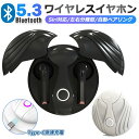 ワイヤレスイヤホン Bluetooth Type-C急速充電 マイク付 通話対応 Hi-Fi高音質 LED付き 充電ケース付き 軽量 完全 ブルートゥース イヤ...