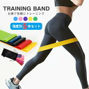 【強度別の5本セット】トレーニングバンド ゴムバンド 美尻 脚トレ 強度別5本セット エクササイズバンド ストレッチゴム フィットネスチューブ エクササイズ 体幹トレーニング トレーニングチューブ 筋トレ ダイエット ヨガ 筋トレ お尻トレ 男女兼用 収納袋付き 送料無料(4)