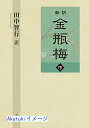 新訳 金瓶梅 中巻 鳥影社 田中 智行