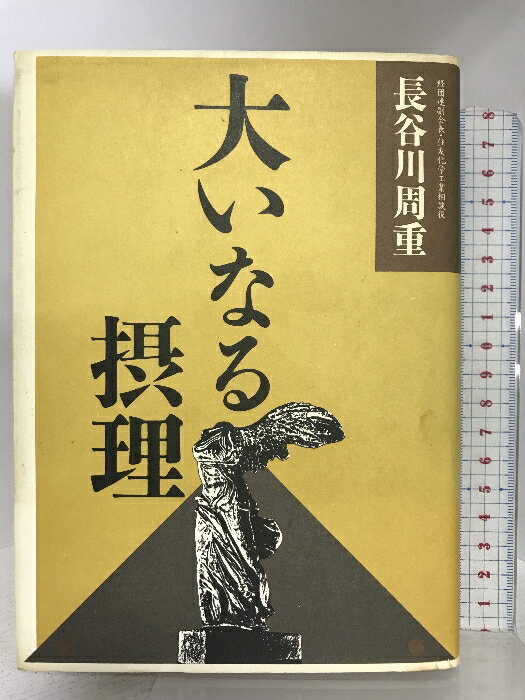 【中古】大いなる摂理 アイペック 長谷川 周重