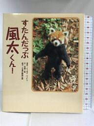 【中古】すたんだっぷ風太くん! 富士見書房 桜庭 一樹