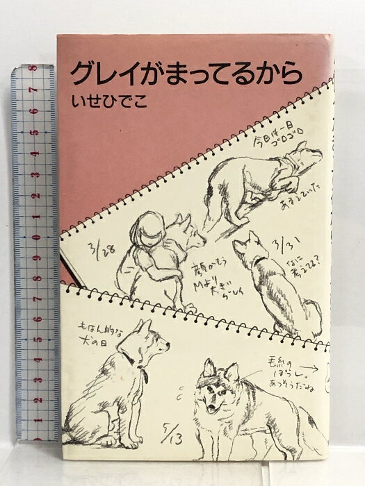 【中古】グレイがまってるから (メルヘン共和国) 理論社 いせ ひでこ
