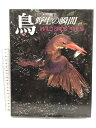 【中古】鳥 野生の瞬間 WILD BIRDS 平凡社 嶋田 忠