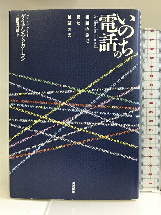 šۤΤá˾ʥǸ˾θ