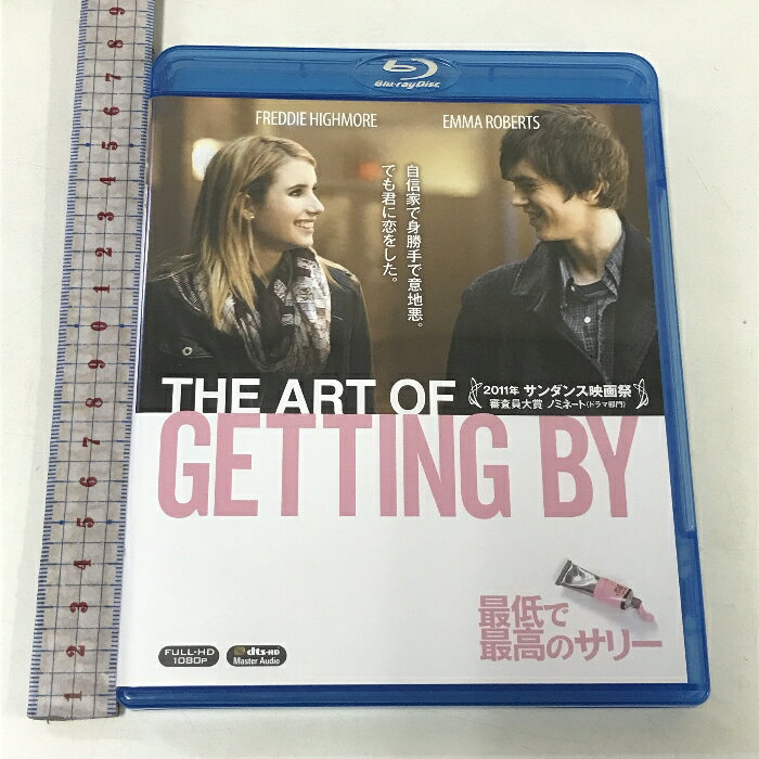 【中古】最低で最高のサリー 20世紀フォックス・ホーム・エンターテイメント・ジャパン フレディ・ハイモア [Blu-ray]