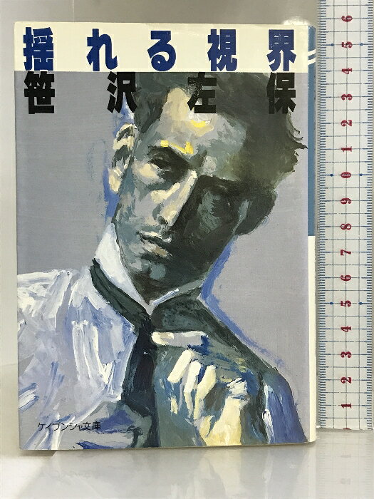 樂天商城 - 【中古】揺れる視界 (ケイブンシャ文庫 さ 2-3) 勁文社 笹沢 左保