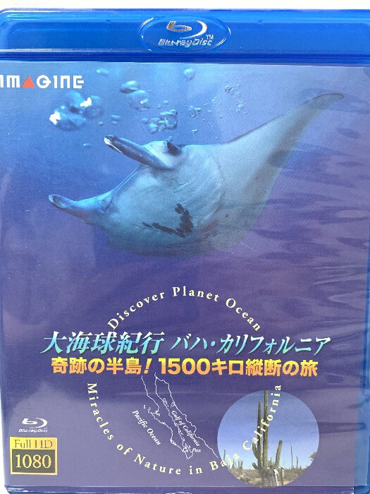 š糤嵪ԥХϡե˥ פȾ!1500Ǥι [Blu-ray]