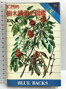 【中古】実践的樹木検索小図鑑 2 夏 (ブルーバックス 418) 講談社 石戸 忠