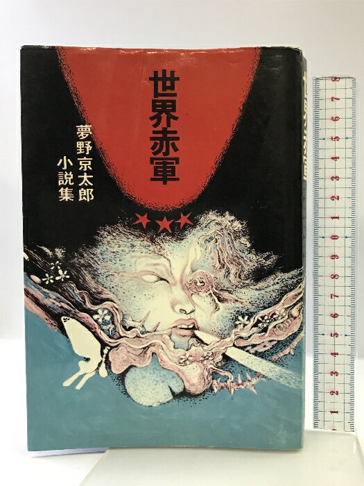 šַ ̴Ϻ⽸ ĬǼ ̴ Ϻ