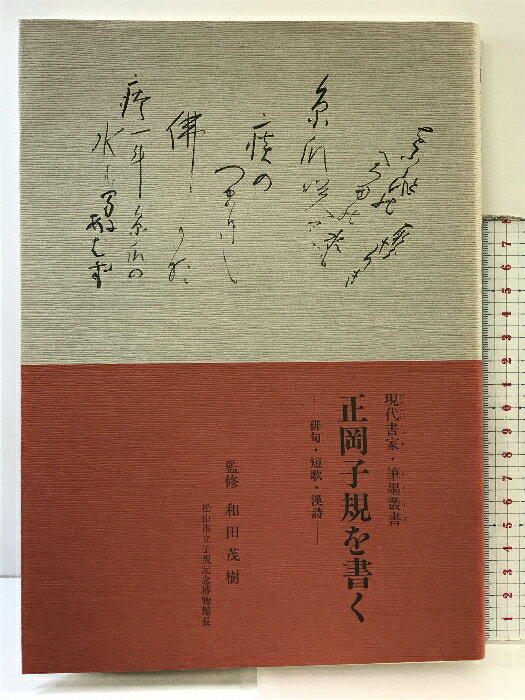 šҵ ж硦ûΡ ȡɮѽ ȯԡȥꥨ ƽм 1990ǯ