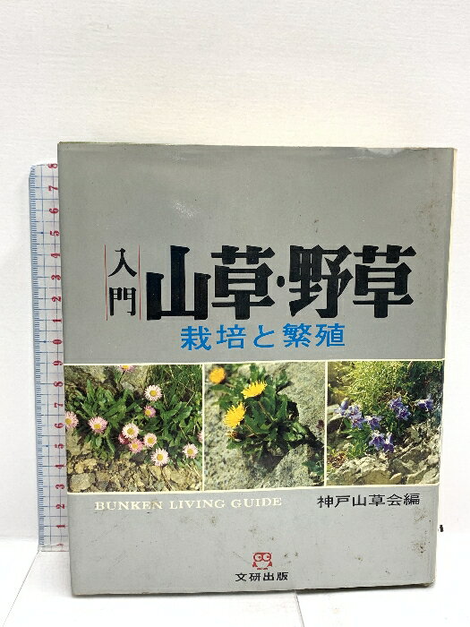 【中古】入門 山草・野草 文研リビングガイド 神戸山草会篇 文研出版