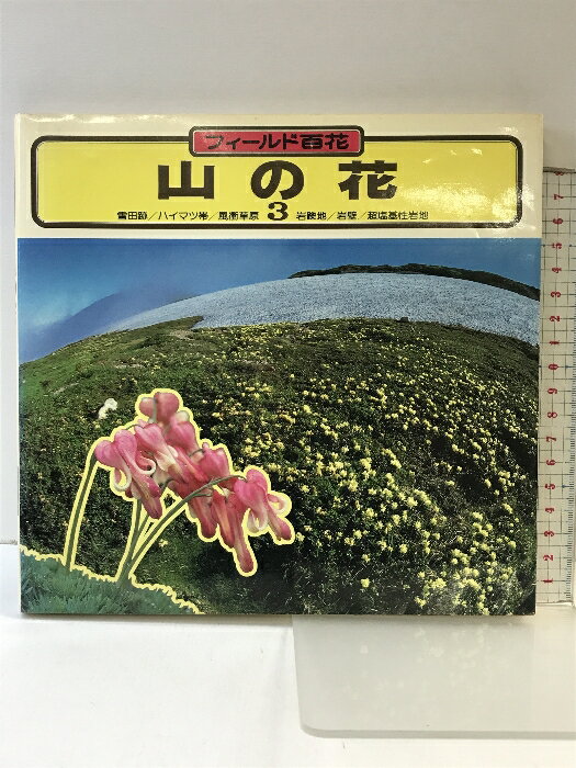 ꥵ륹ȥĤ㤨֡šۥեɴ֡β (3 /ϥޥ////Ķ ë  ãǷפβǤʤ442ߤˤʤޤ