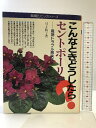 【中古】こんなときどうしたら?セントポーリア 主婦の友社 川上 敏子