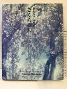 【中古】【図録】藤田玲子写真集「さくら夢幻」 発行:フォトパラダイス 著:藤田玲子 1999年