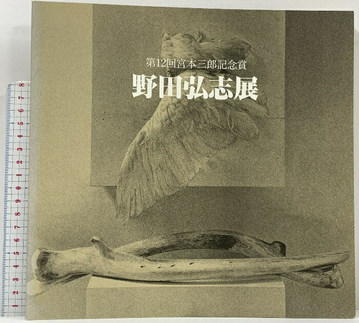 【中古】図録 野田弘志展 1994 第2回宮本三郎記念賞 (財)美術文化振興協会・朝日新聞社