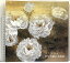 【中古】図録 天・空・気 松村公嗣日本画展 2008 DAIMARU