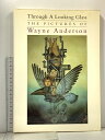 【中古】洋書 図録 Through A Looking Glass THE PICTURES OF Wayne Anderson PAPER TIGER