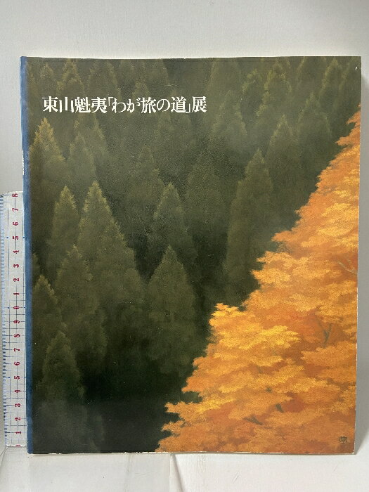 【中古】図録 東山魁夷「わが旅の道」展 1991 日本経済新聞社