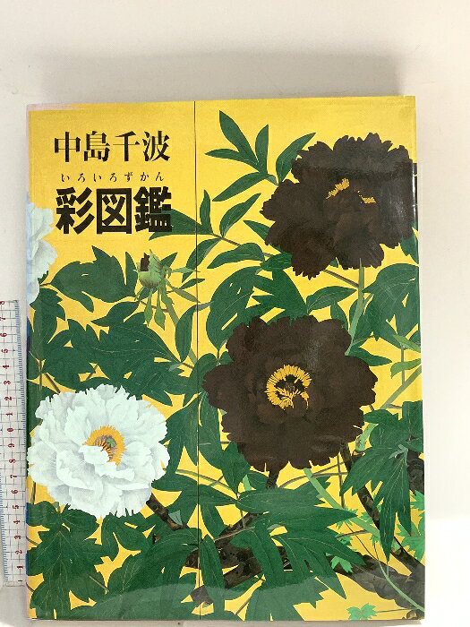 日本藝術 - 【中古】図録 中島千波 彩図鑑 2004 求龍堂