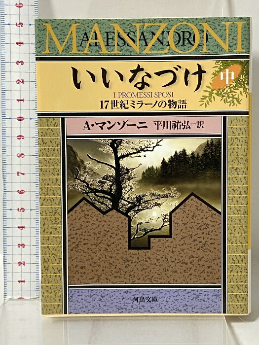 Paperbacks （Romance） - 【中古】いいなづけ 17世紀ミラーノの物語 中 河出文庫 河出書房新社 A・マンゾーニ