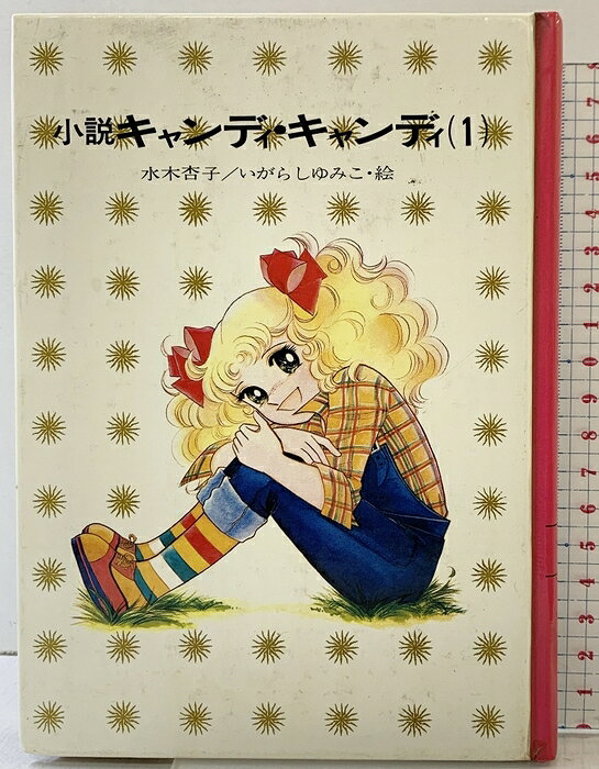 楽天市場】キャンディキャンディ 小説（本・雑誌・コミック）の通販