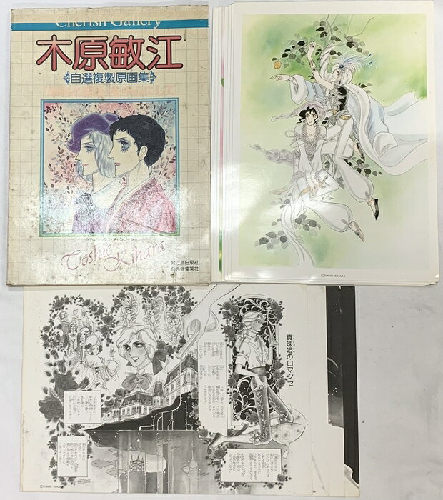 楽天市場】複製原画 物語シリーズの通販