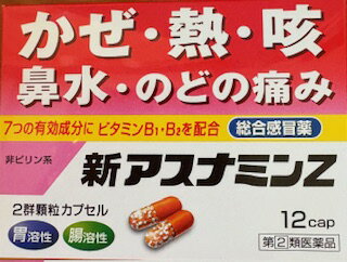 Rakuten - 【第（2）類医薬品】 アスナミンZ 12入