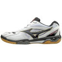 【55%OFF】ミズノ MIZUNO ウエーブファング プロ(71GA1700)
