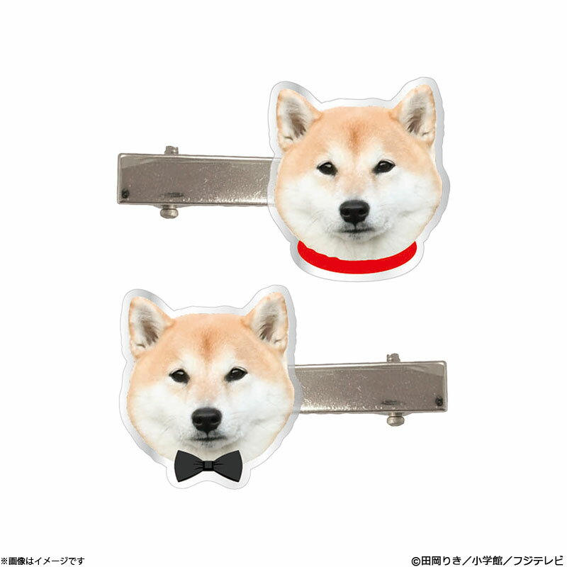 今日のさんぽんた 前髪ピンセット