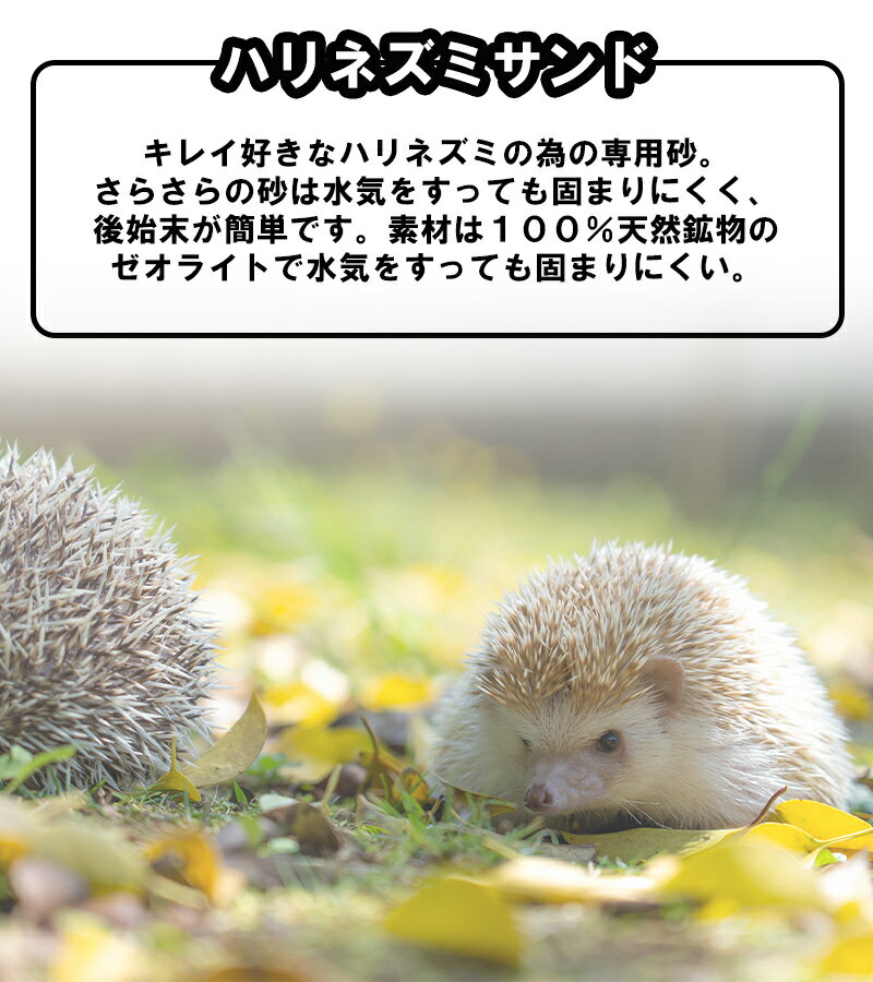 3袋セット ハリネズミサンド 1kg SANKOの紹介画像3