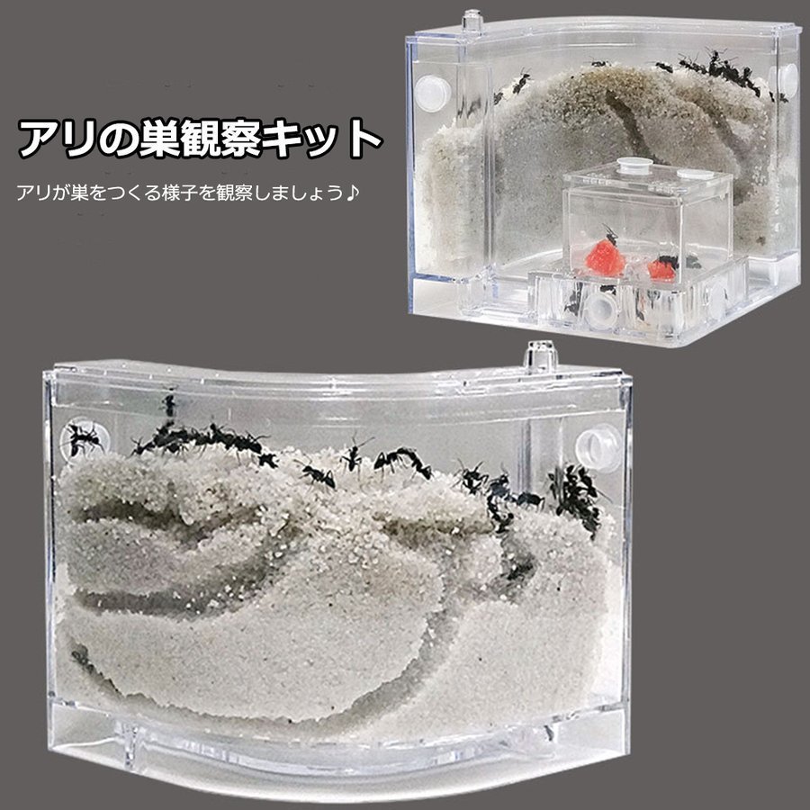 アリの巣　あり観察キット　アリの巣観察キット アリ 巣 観察 飼育ケース 自由研究 小学生 キット あり 蟻 飼育セット 実験セット 観察 工作 男の子　女の子　夏休み　学習用　おもしろ実験 蟻と砂は付属しておりません。 メーカー希望小売価格はメーカーサイトに基づいて掲載していますアリの巣　あり観察キット　アリの巣観察キット アリ 巣 観察 飼育ケース 自由研究 小学生 キット あり 蟻 飼育セット 実験セット 観察 工作 男の子　女の子　夏休み　学習用　おもしろ実験 蟻と砂は付属しておりません。 メーカー希望小売価格はメーカーサイトに基づいて掲載しています