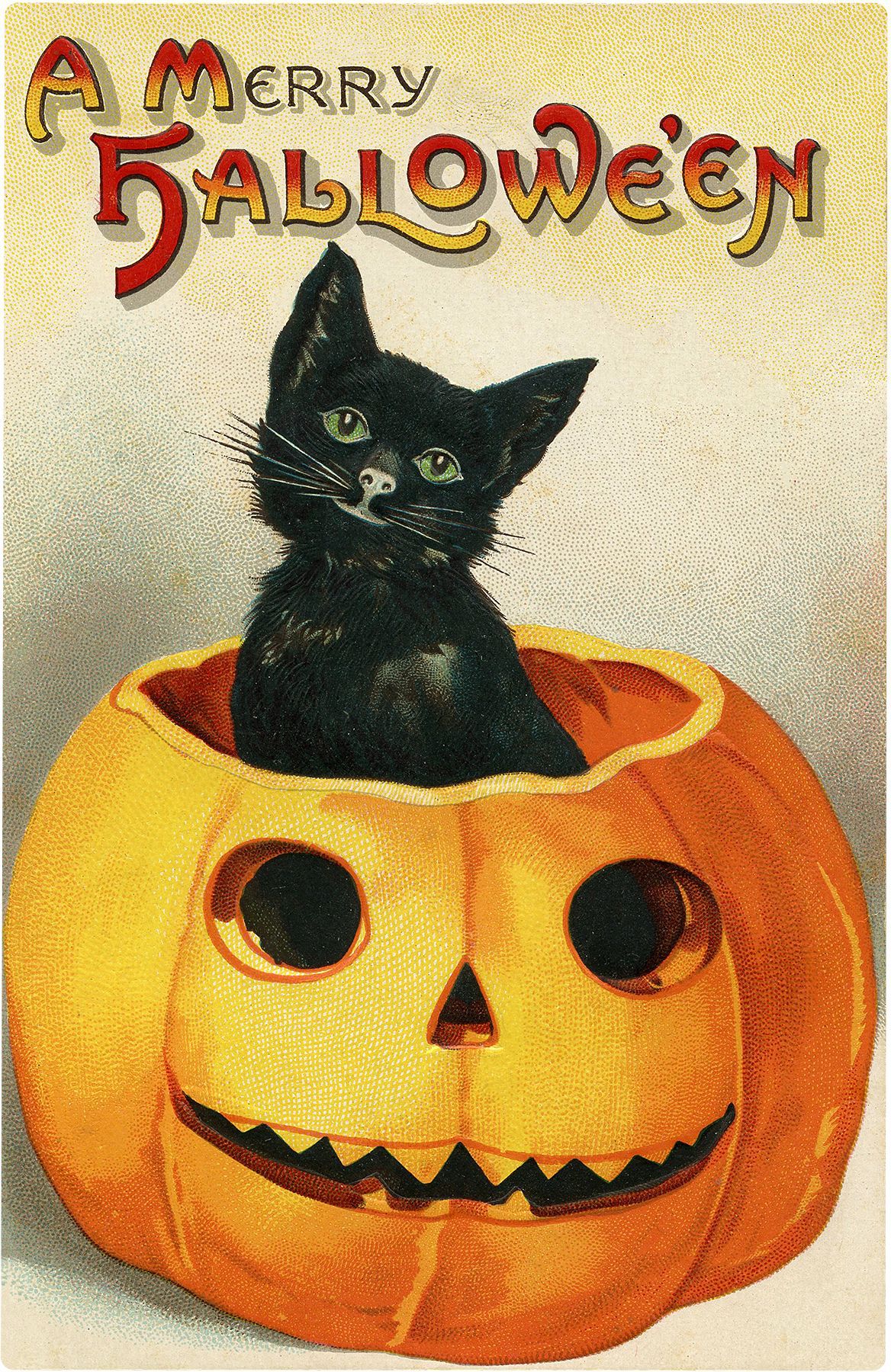 ダイヤモンドアート 5d ハロウィーン カボチャ 夜 黒猫 ジャック?オ?ランタン 枯れ木 夜 星空 コウモリ フル ダイヤモンドアート かわ